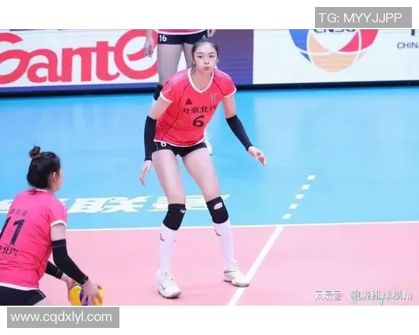 排球心理素质评比结果出炉深圳排球队荣登第五名引发关注