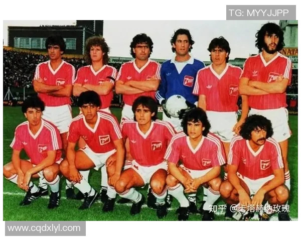 最解气的足球明星背后的故事与传奇时刻揭秘 最解气的足球明星背后的故事与传奇时刻揭秘